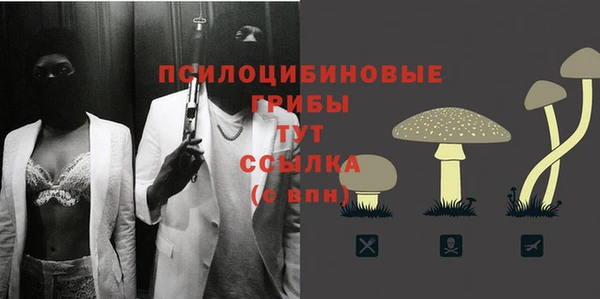 первитин Гусь-Хрустальный