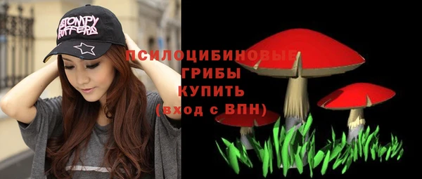 индика Всеволожск