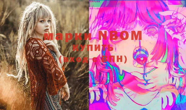 молекула духа Переславль-Залесский