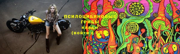 индика Всеволожск
